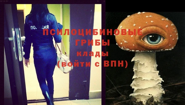 ешки Пролетарск