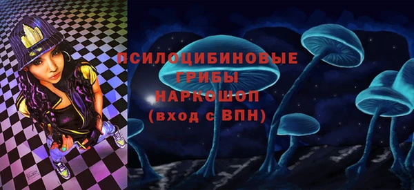 амф Протвино