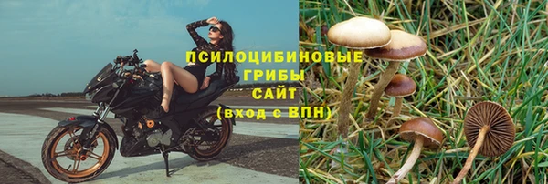 марки lsd Покачи