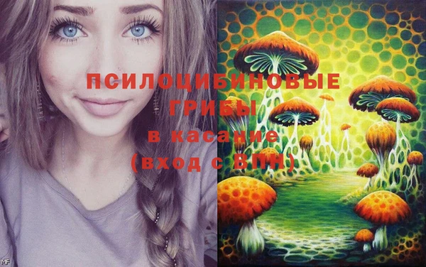 ешки Пролетарск