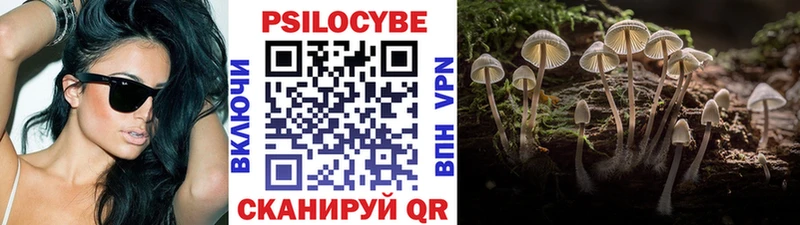 Псилоцибиновые грибы MAGIC MUSHROOMS  Купить  Катайск 